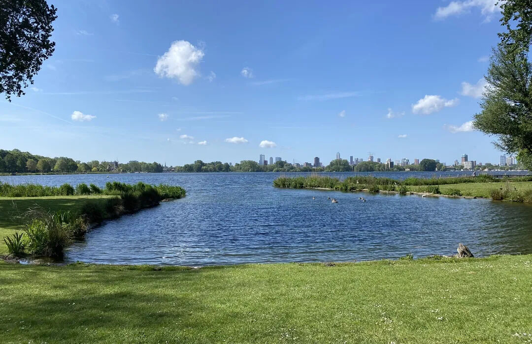 Vledderbos losloopgebieden groningen welkoop